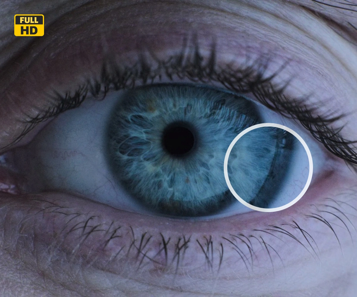 Download Image & Video in HD